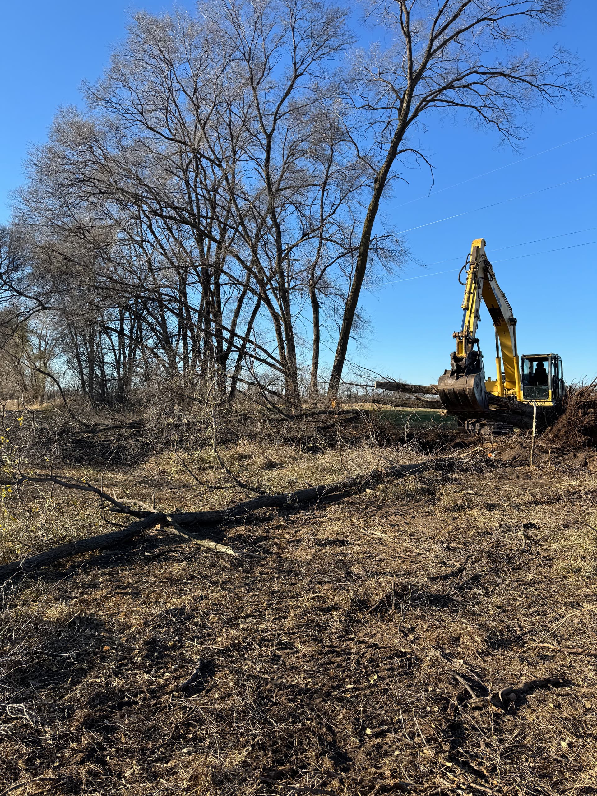 Transforming Overgrown Land into a Blank Canvas
