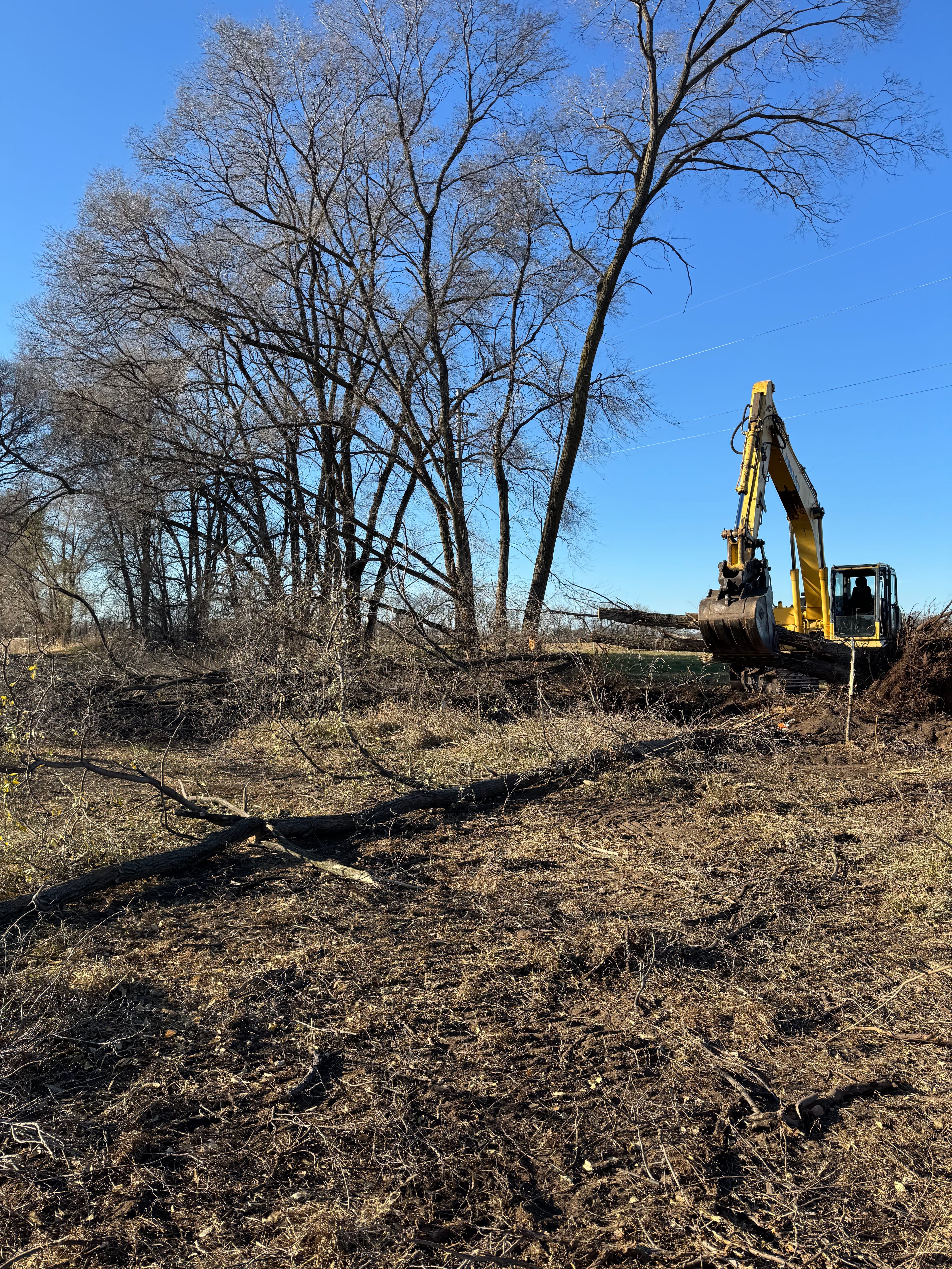 Project Transforming Overgrown Land into a Blank Canvas image