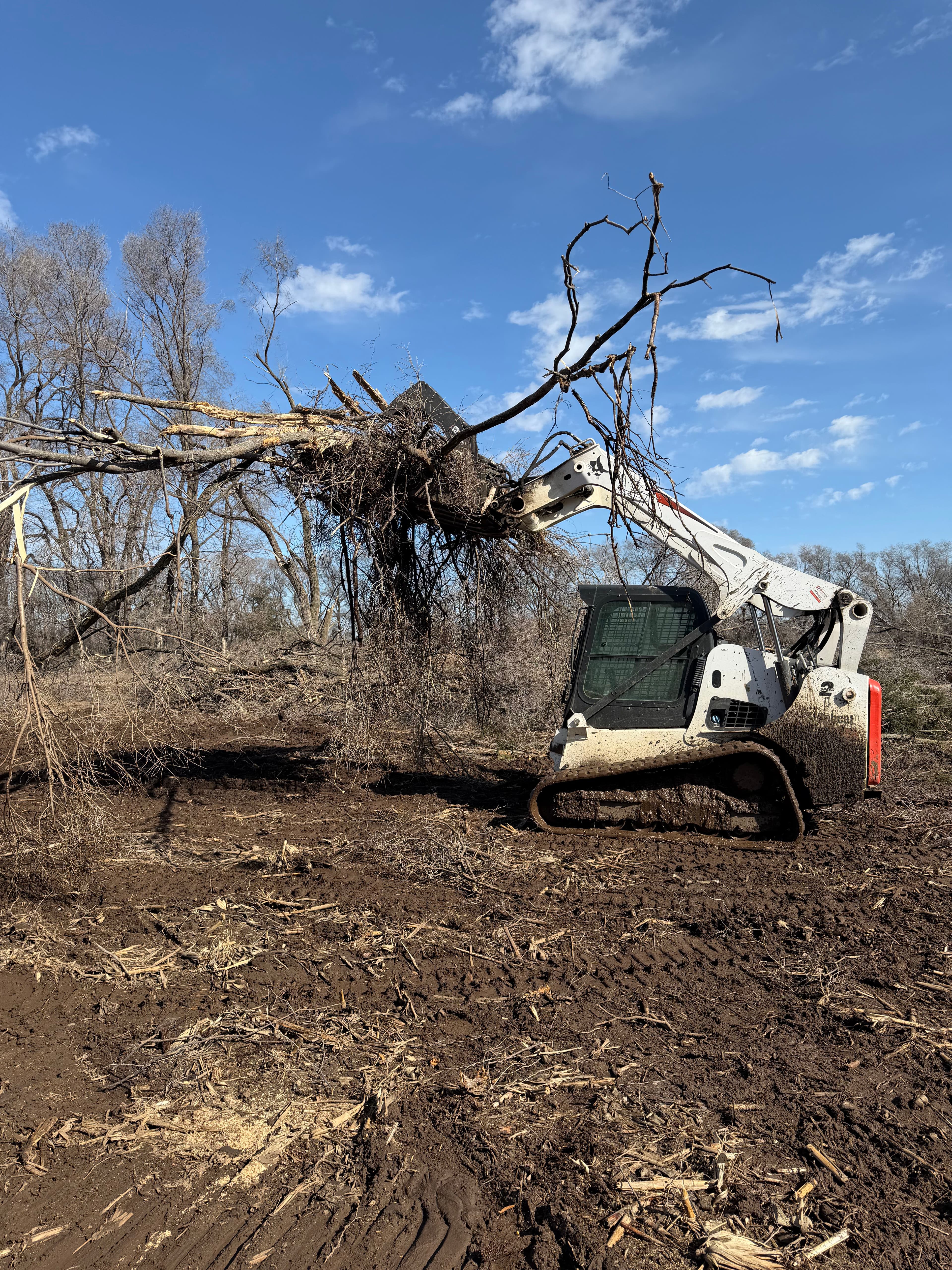 Project Expert Land Clearing by Elevation Earthworks image