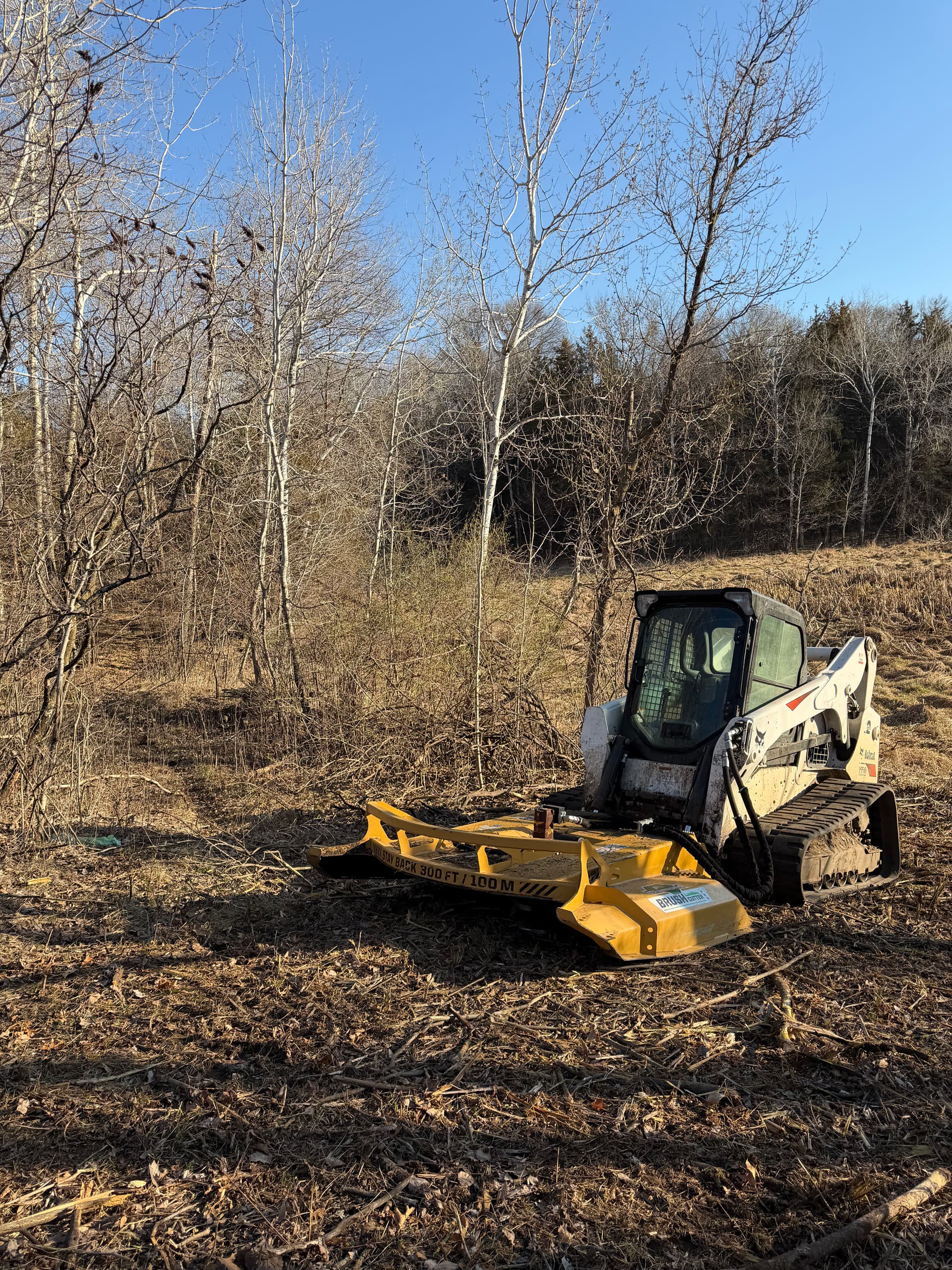 Brush Cutting in the Woods That Were Taking Over image