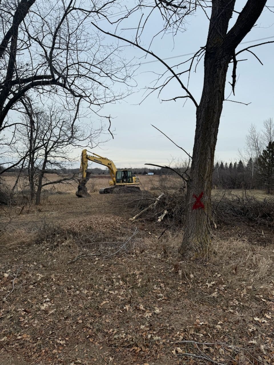 Transform Your Space with Expert Land Clearing image