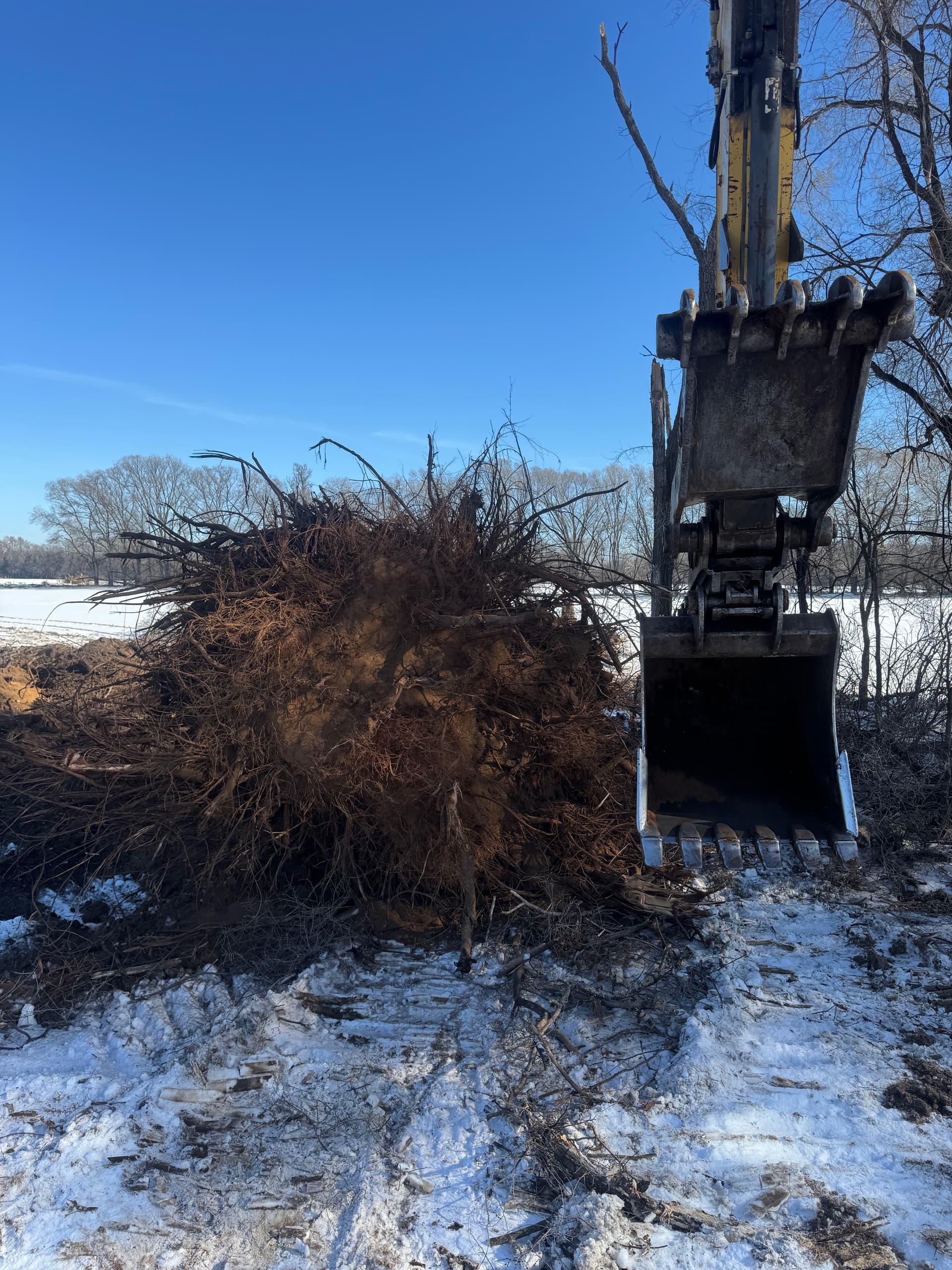 Gallery photos for Transforming Snowy Terrains with Expert Land Clearing: Image #1