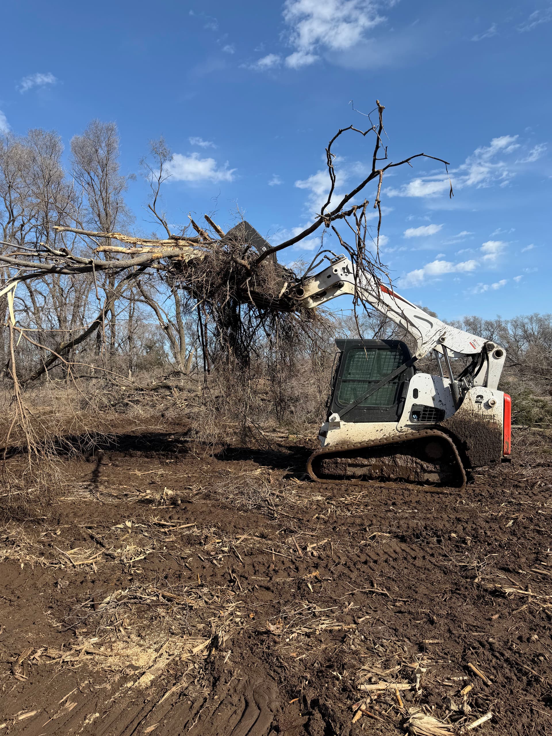 Expert Land Clearing by Elevation Earthworks image